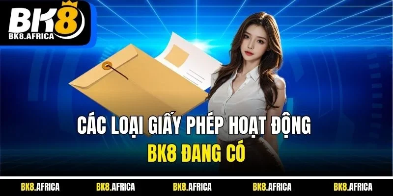 Các loại giấy phép hoạt động BK8 đang có