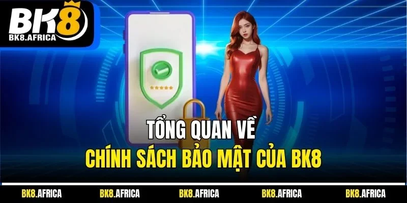 Tổng quan về chính sách bảo mật của BK8